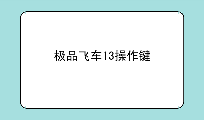 极品飞车13操作键