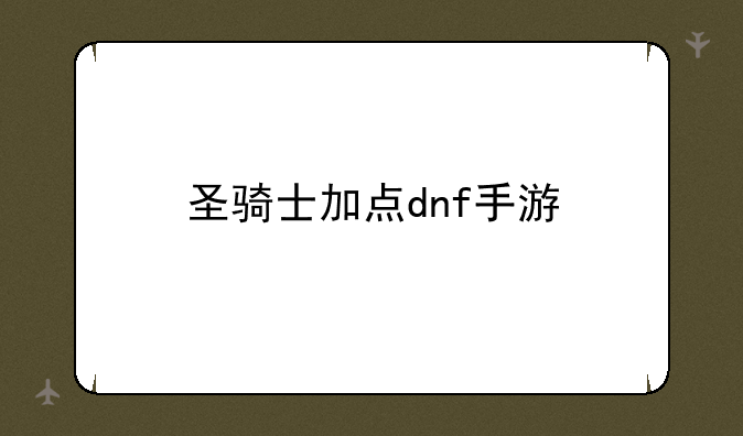 圣骑士加点dnf手游