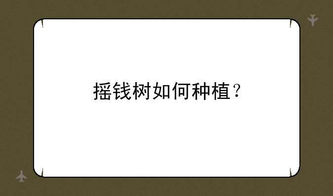 摇钱树如何种植？