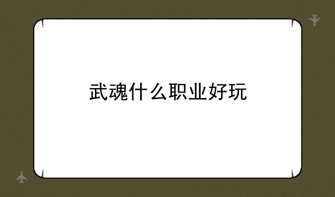 武魂什么职业好玩