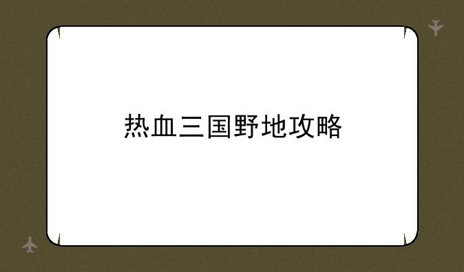 热血三国野地攻略
