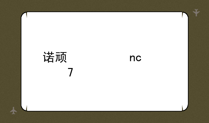 诺顿磁盘修复工具