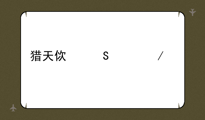 猎天使魔女下载