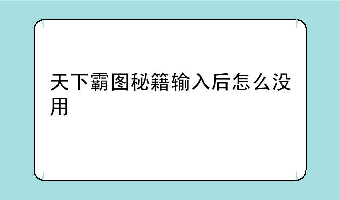 天下霸图秘籍输入后怎么没用