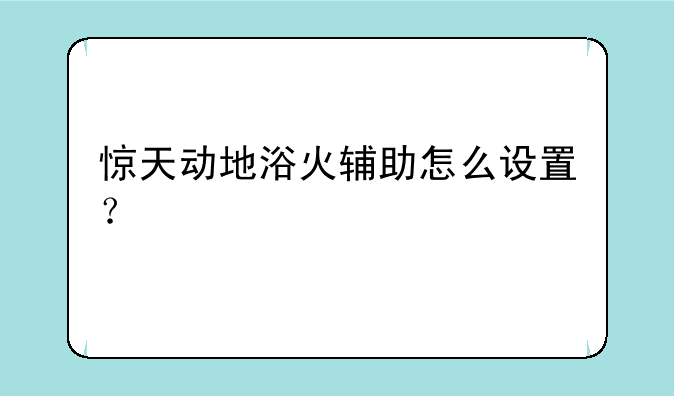 惊天动地浴火辅助怎么设置？