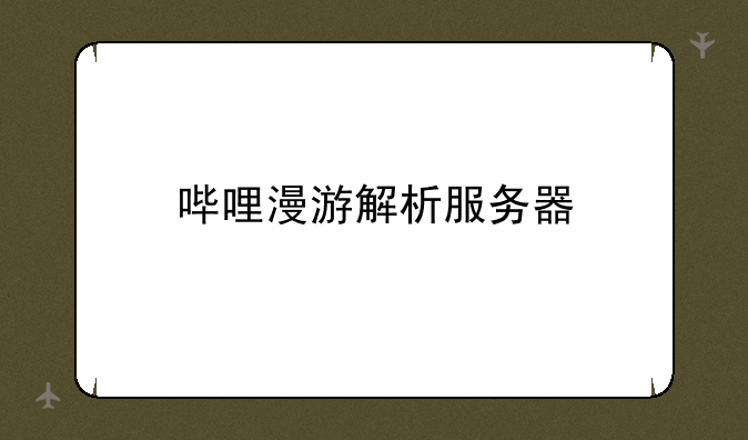 哔哩漫游解析服务器
