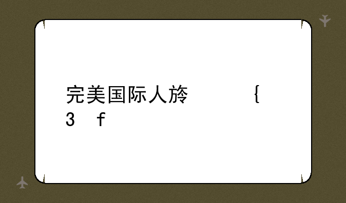 完美国际人族飞行器