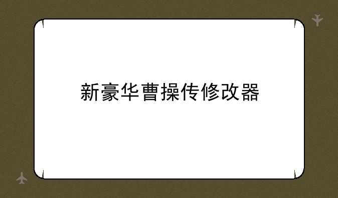 新豪华曹操传修改器