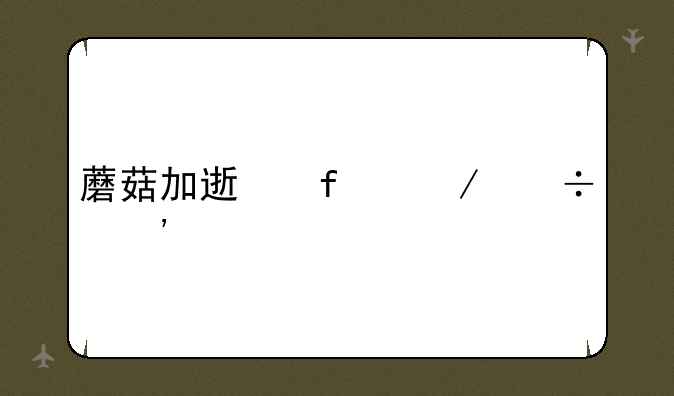 蘑菇加速器下载安装