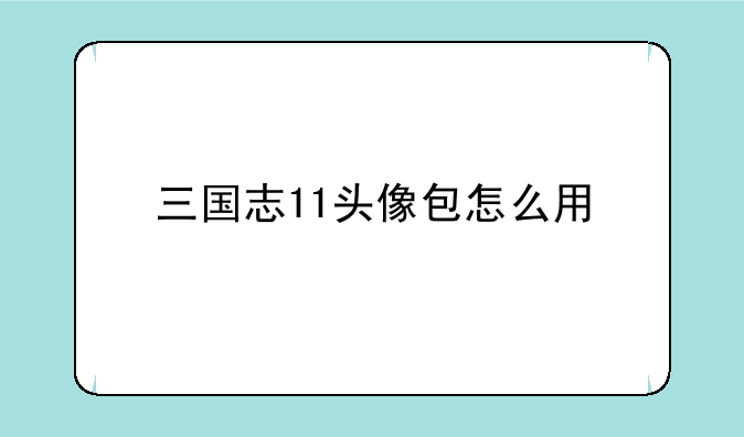 三国志11头像包怎么用