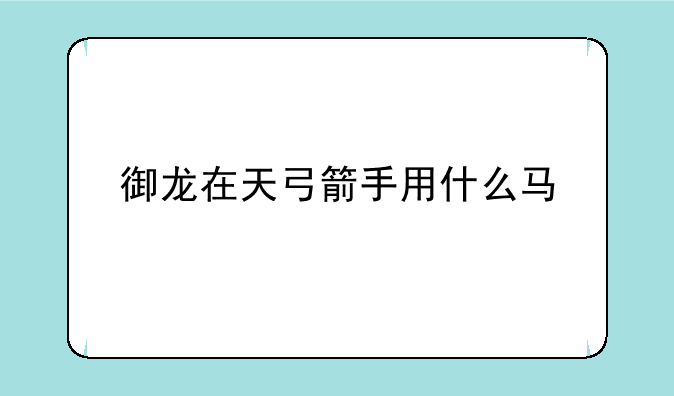 御龙在天弓箭手用什么马