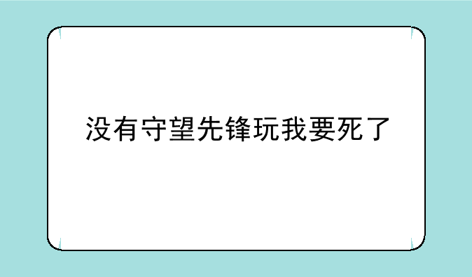 没有守望先锋玩我要死了