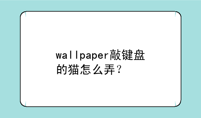 wallpaper敲键盘的猫怎么弄？