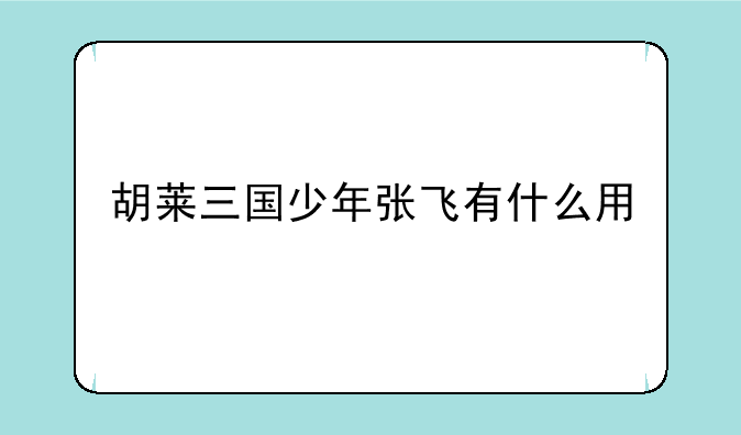 胡莱三国少年张飞有什么用