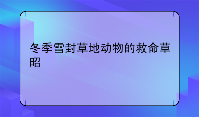 冬季雪封草地动物的救命草是什么
