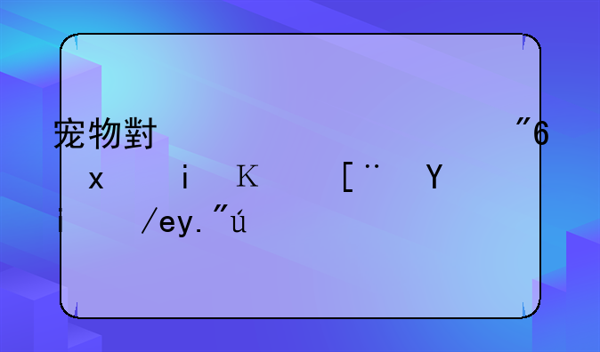 宠物小精灵游戏版本顺序如何下载