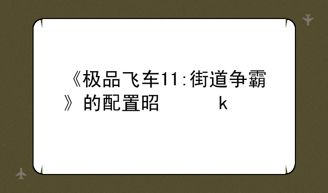 《极品飞车11:街道争霸》的配置是多少