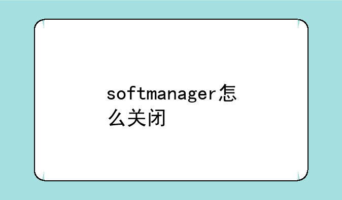 softmanager怎么关闭