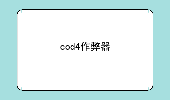 cod4作弊器