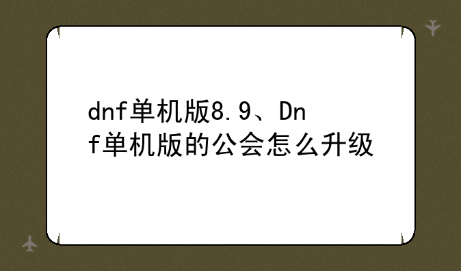 dnf单机版8.9、Dnf单机版的公会怎么升级