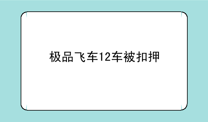 极品飞车12车被扣押