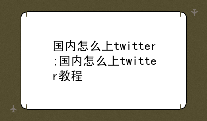国内怎么上twitter;国内怎么上twitter教程
