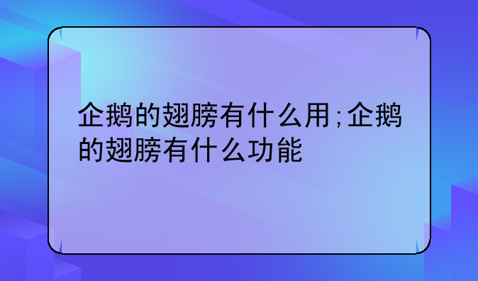 企鹅的翅膀有什么用;企鹅的翅膀有什么功能