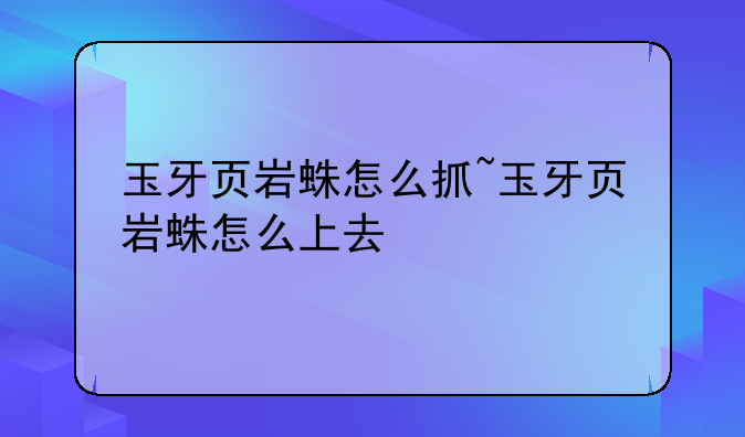 玉牙页岩蛛怎么抓~玉牙页岩蛛怎么上去